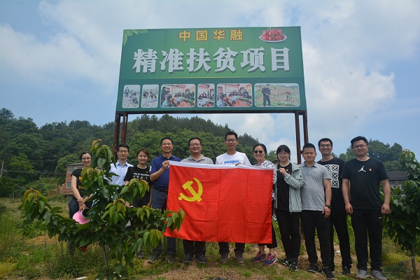 小小車厘子 帶動大市場——中國華融駐村幫扶著力鄉(xiāng)村振興示范點建設